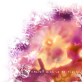 Fuu's Image EP